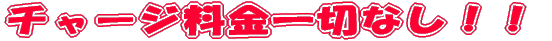 XXXݐ؂v 